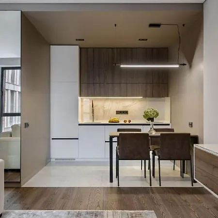 Classy In Chicago, A Luxurious Appartement